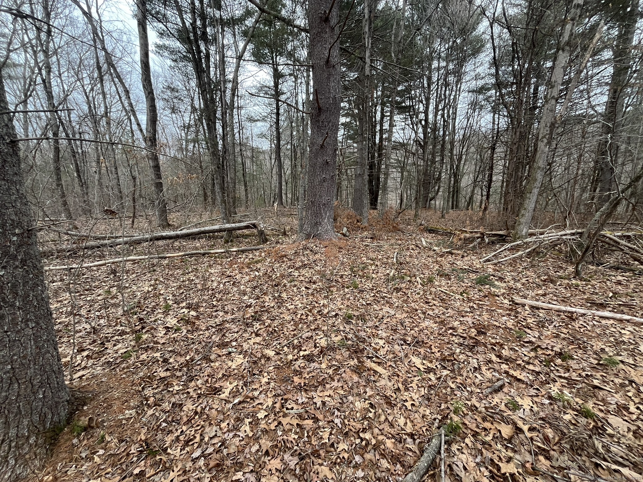 439 Washington Road, Woodbury, Connecticut image 31