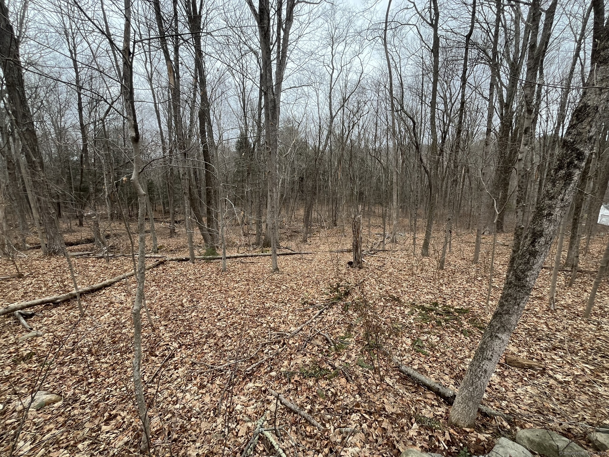 439 Washington Road, Woodbury, Connecticut image 29