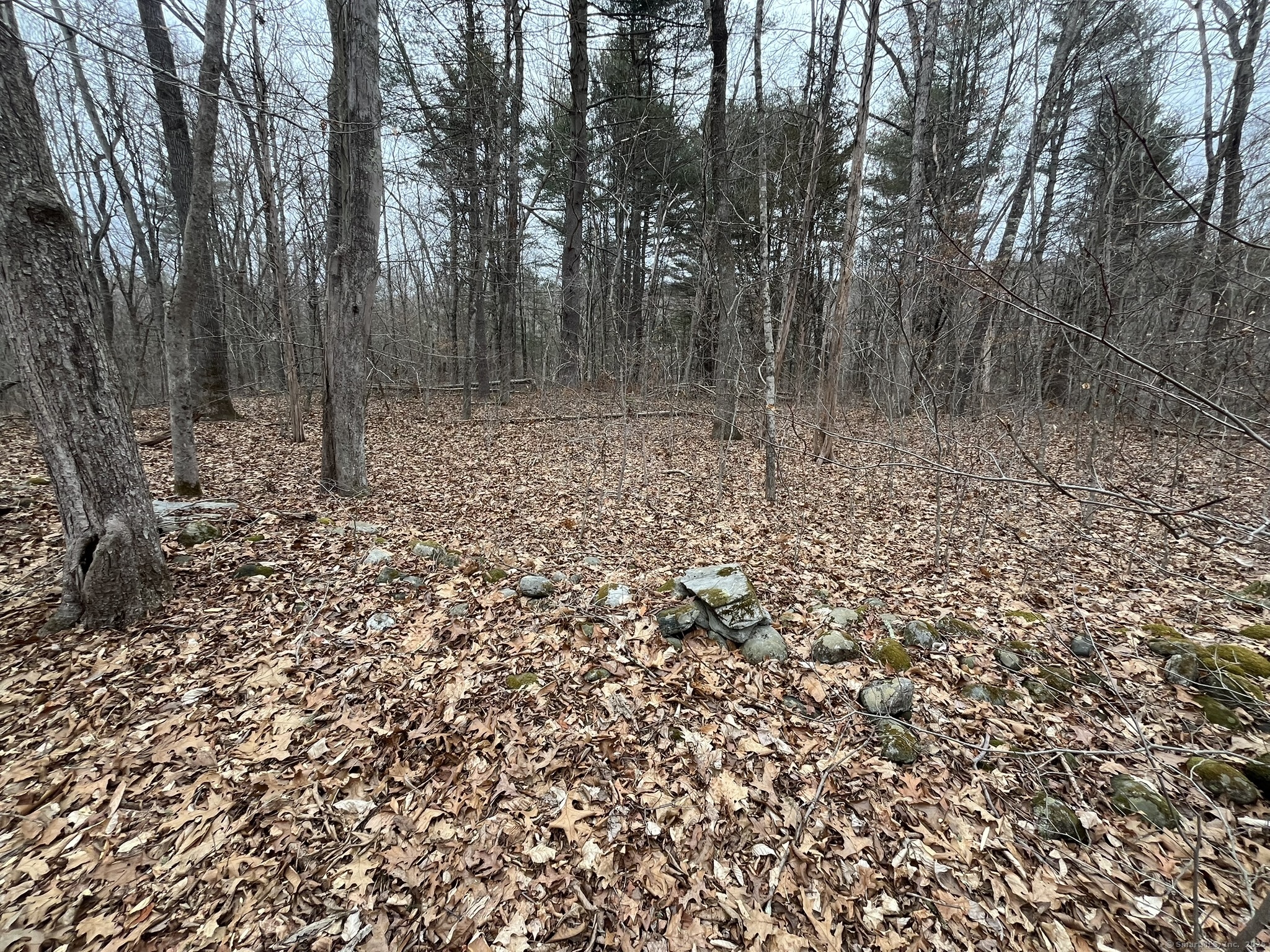 439 Washington Road, Woodbury, Connecticut image 30