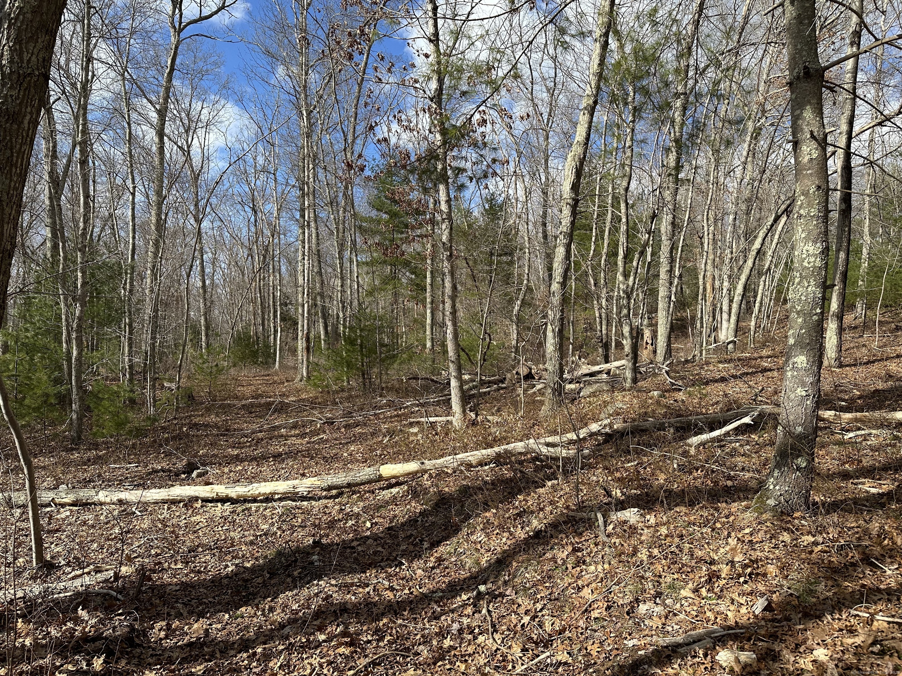 90 cranberry bog Road