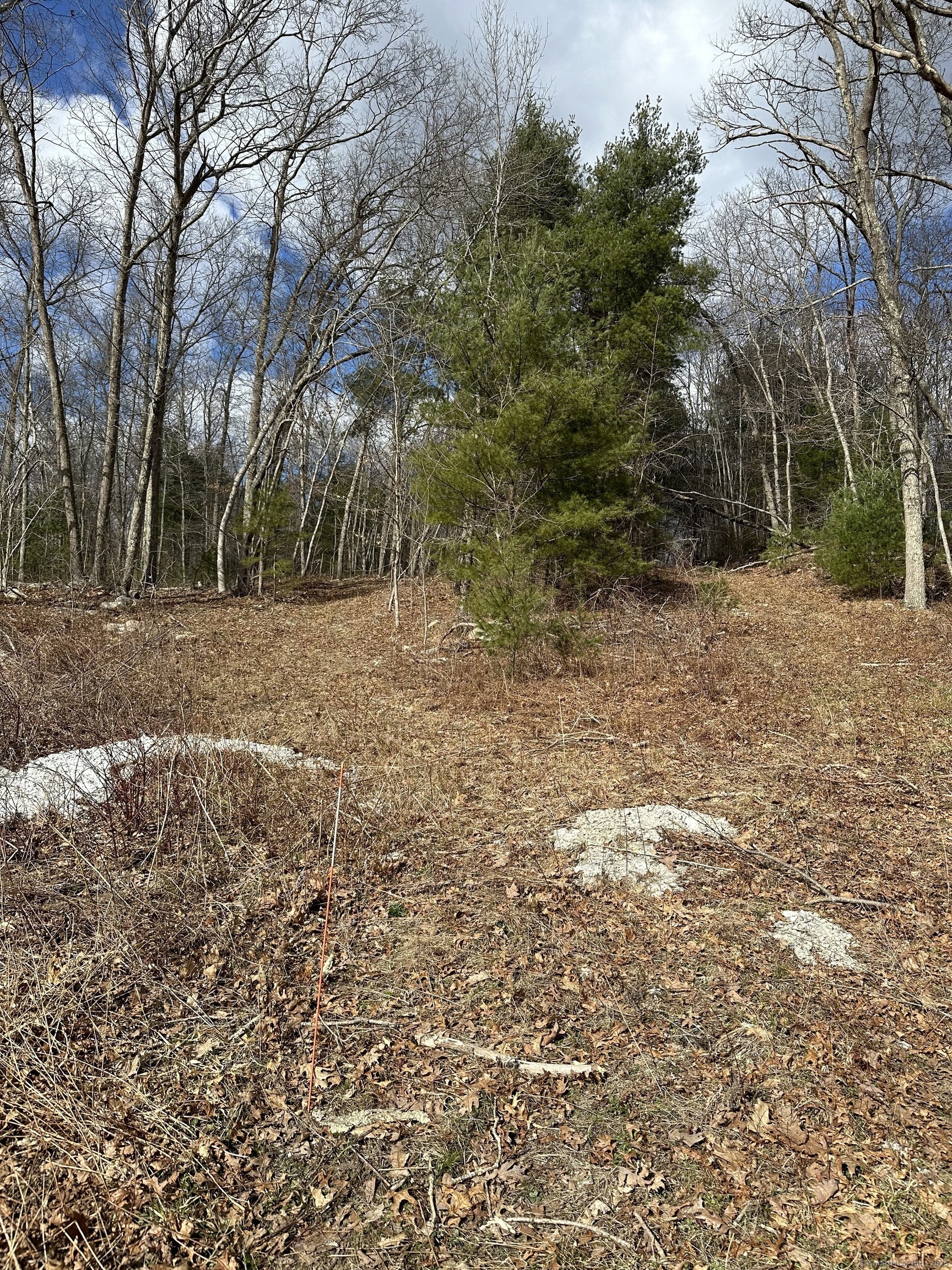90 cranberry bog Road