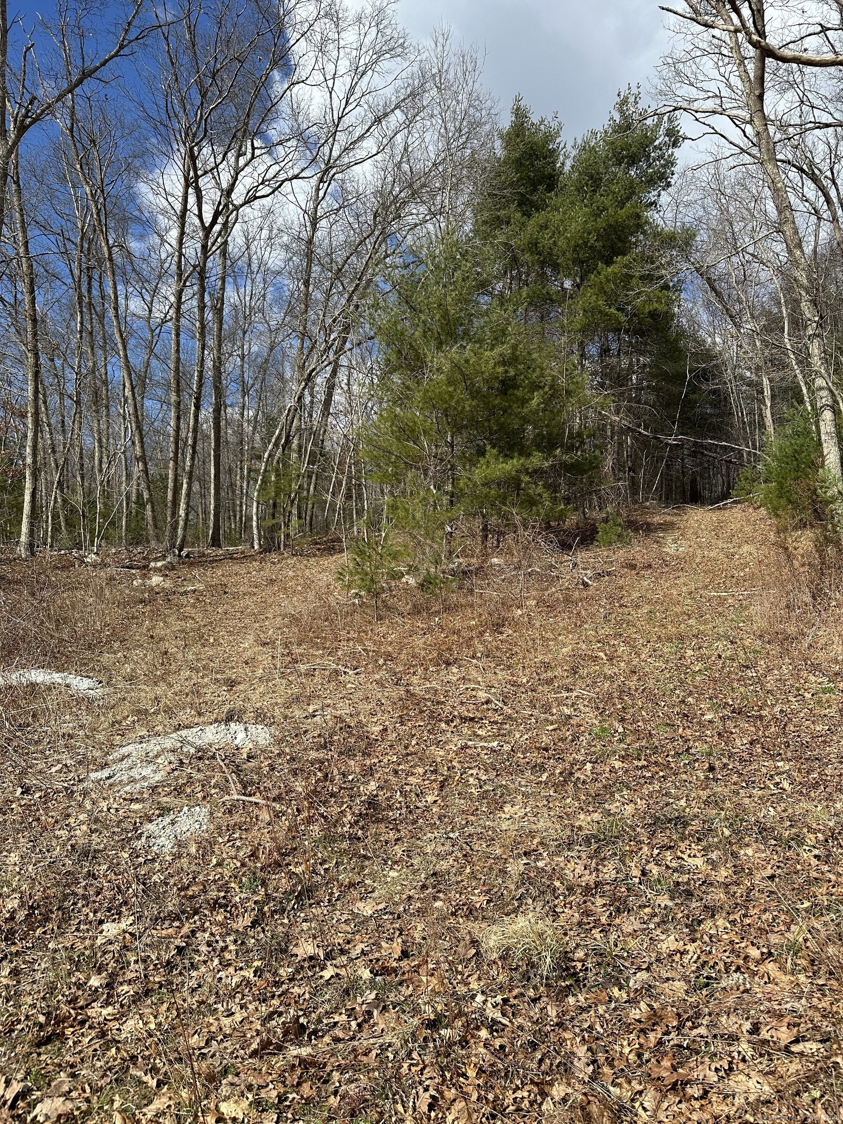 90 cranberry bog Road