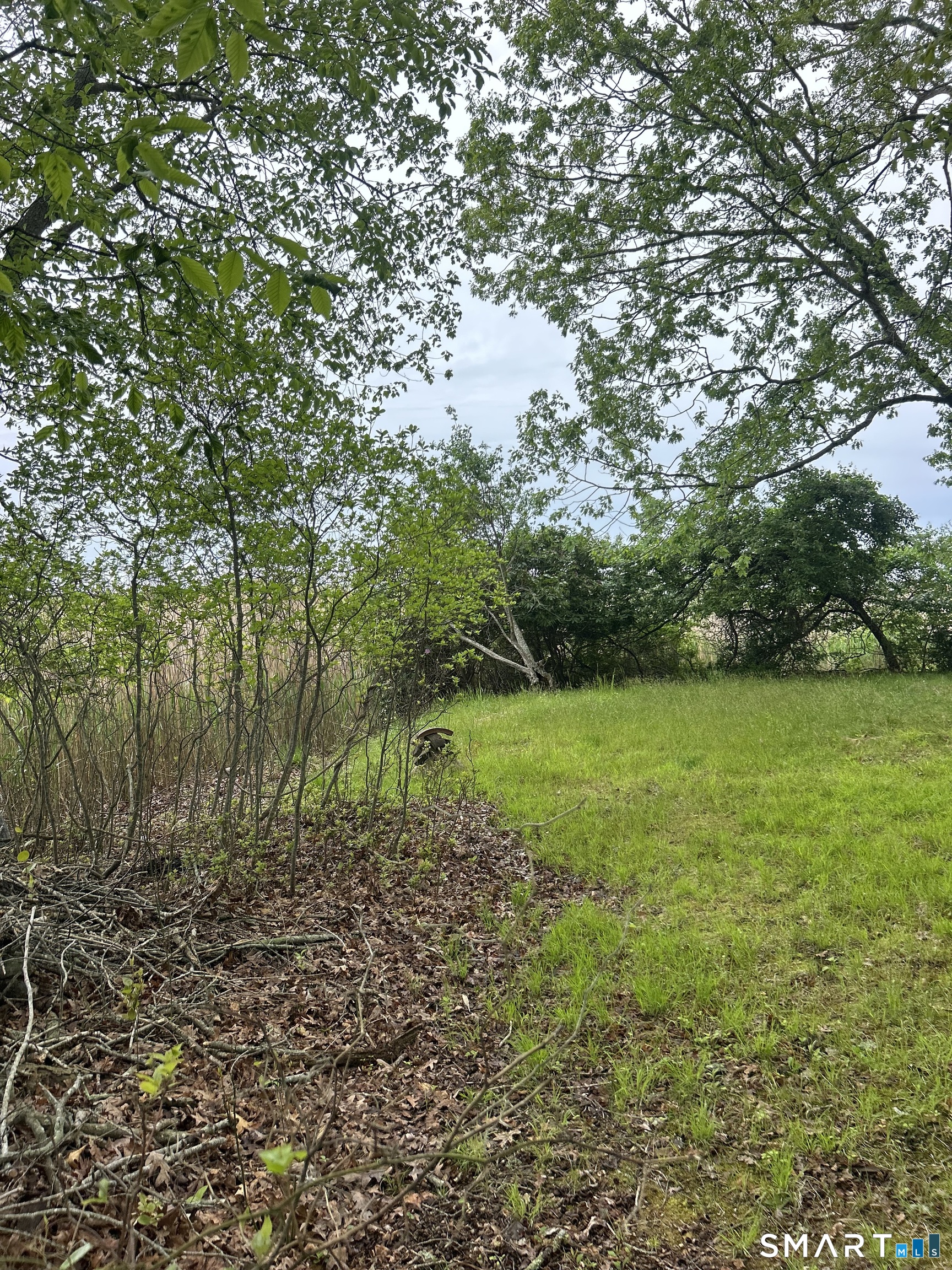 55 Woodland Drive