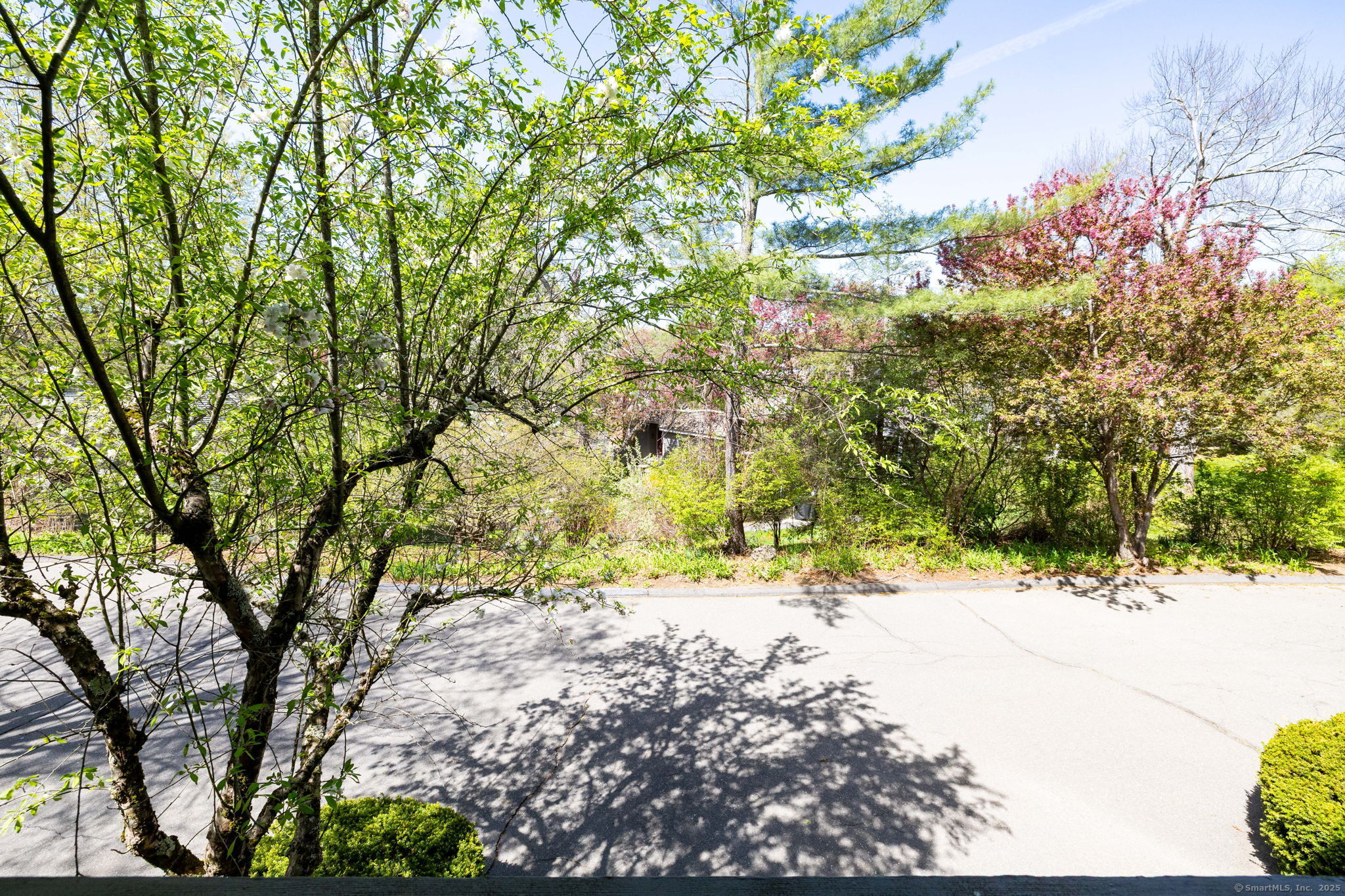 71 Byron Drive #71, Avon, Connecticut image 19
