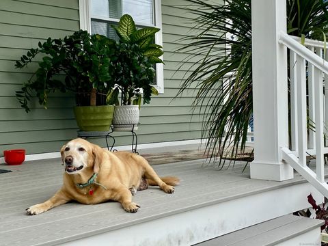 Tiny photo for 93 Shelton Avenue, Shelton, CT 06484 (MLS # 24154430)