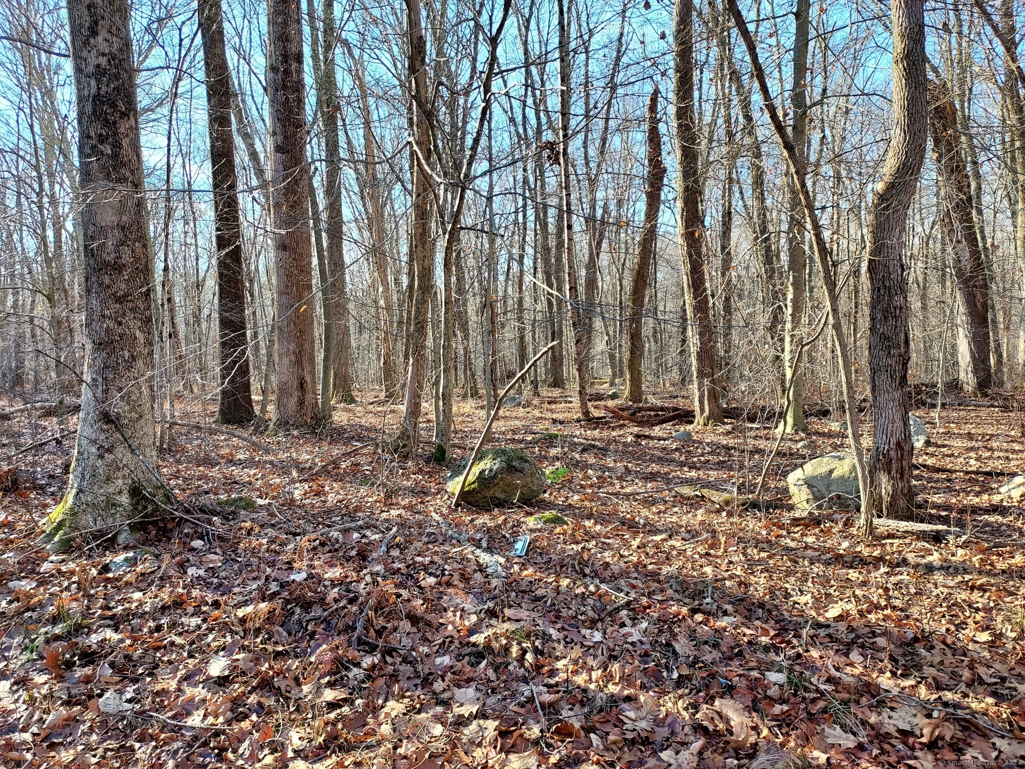 Clark Road, Colchester, Connecticut image 7
