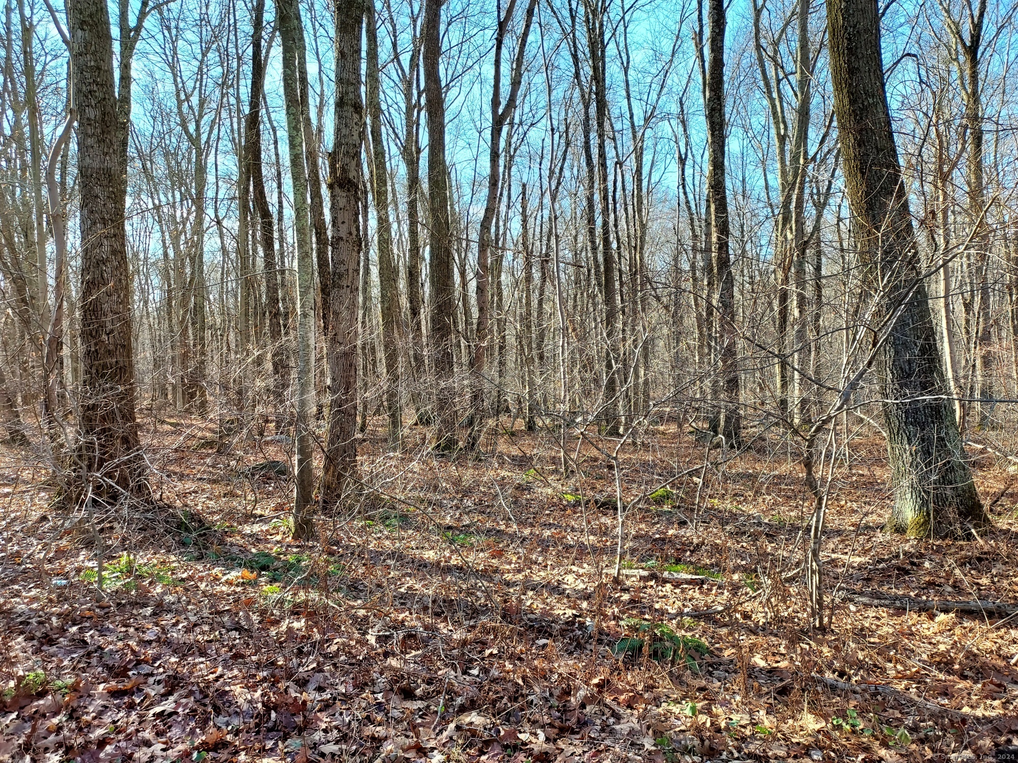 Clark Road, Colchester, Connecticut image 6