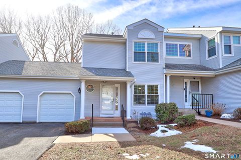 103 The Mews 103 Rocky Hill CT 06067