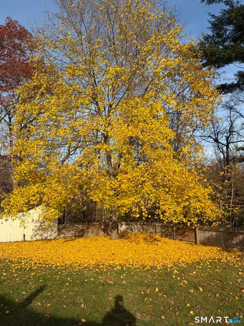 Tiny photo for 16 Hickory Lane, Plainville, CT 06062 (MLS # 24145825)