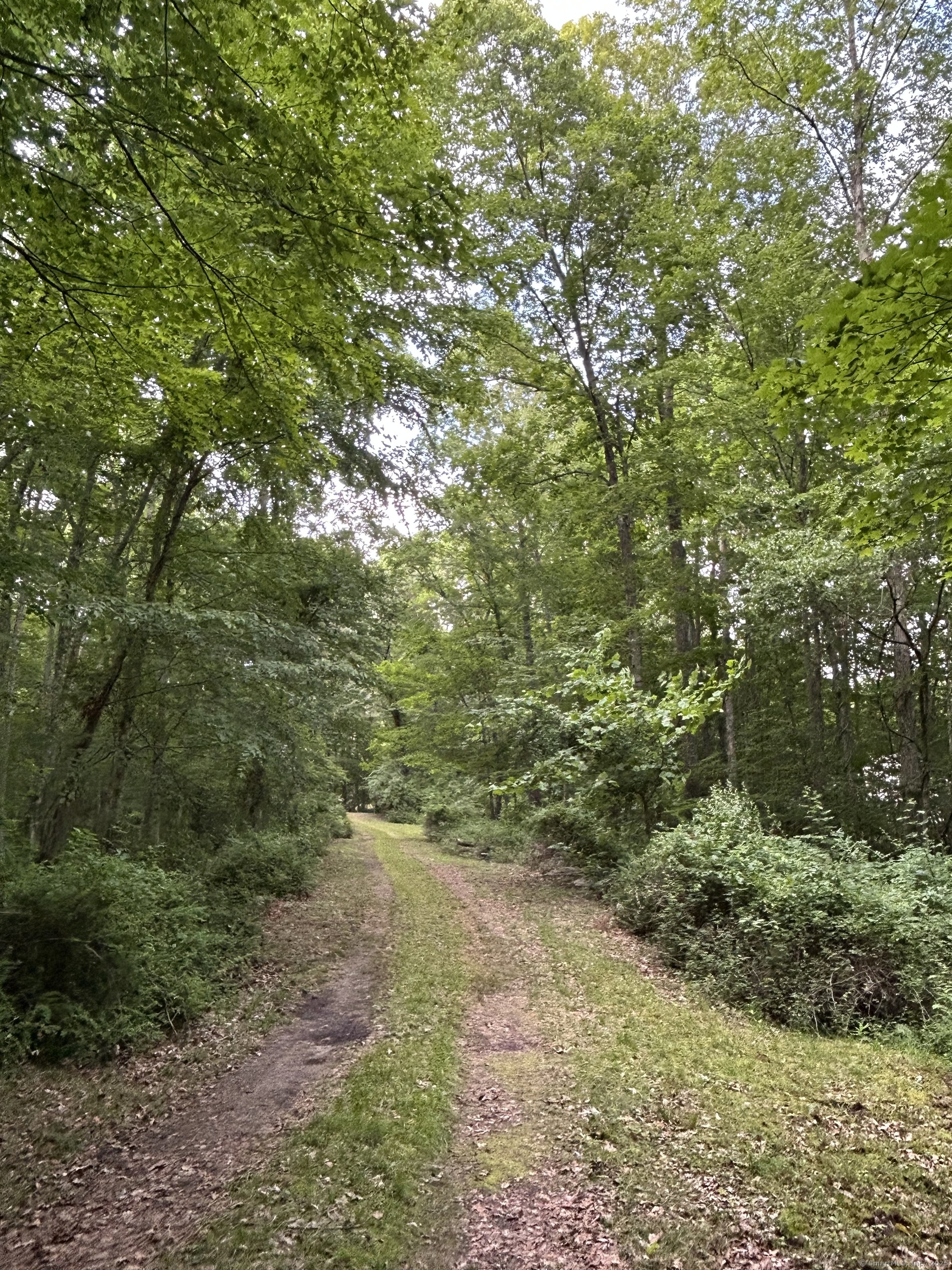 78 Salt Rock Road