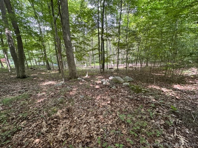 Scott Hill Road, Lebanon, Connecticut image 3