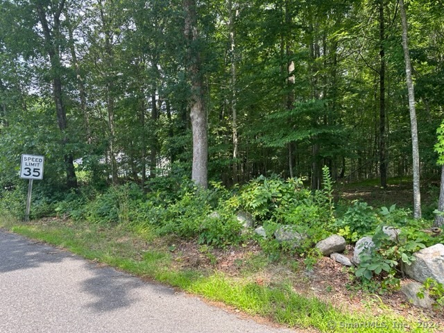 Scott Hill Road, Lebanon, Connecticut image 4