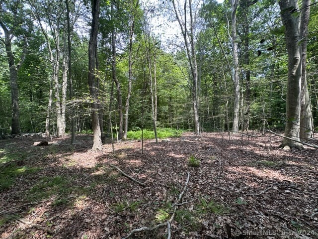 Scott Hill Road, Lebanon, Connecticut image 2