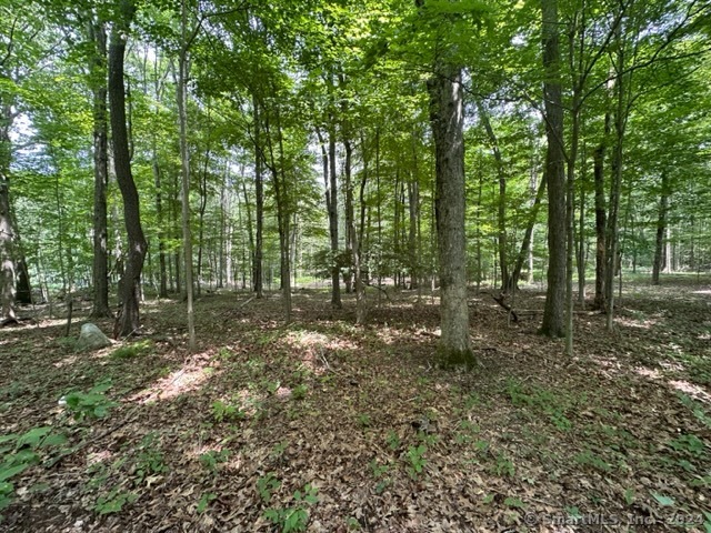 Photo 1 of Scott Hill Road, Lebanon, Connecticut, $109,900, Web #: 24035792