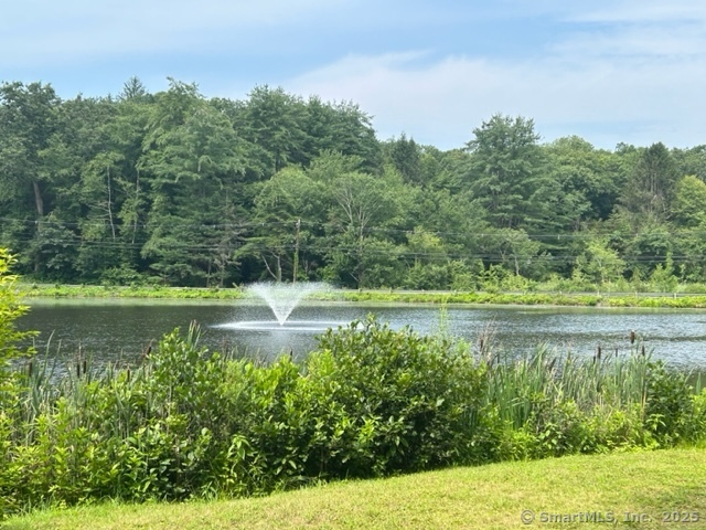 34 Clubhouse Drive #23C, Woodbury, Connecticut image 24