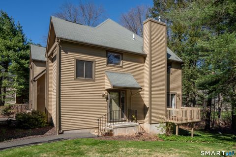 27 River View 27 Avon CT 06001