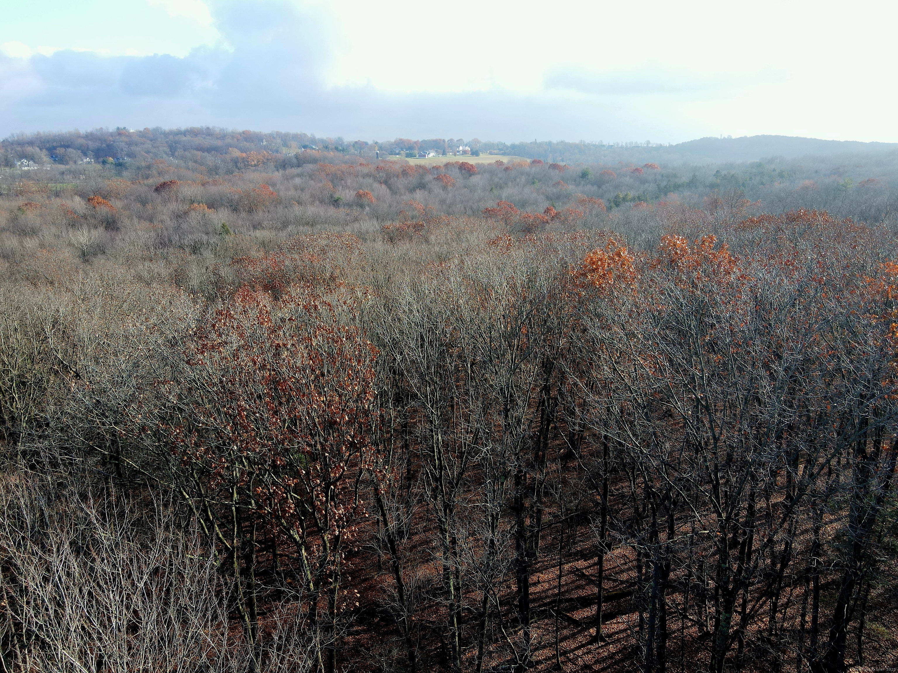 Country Club Rd and Massa Tom Rd Road East