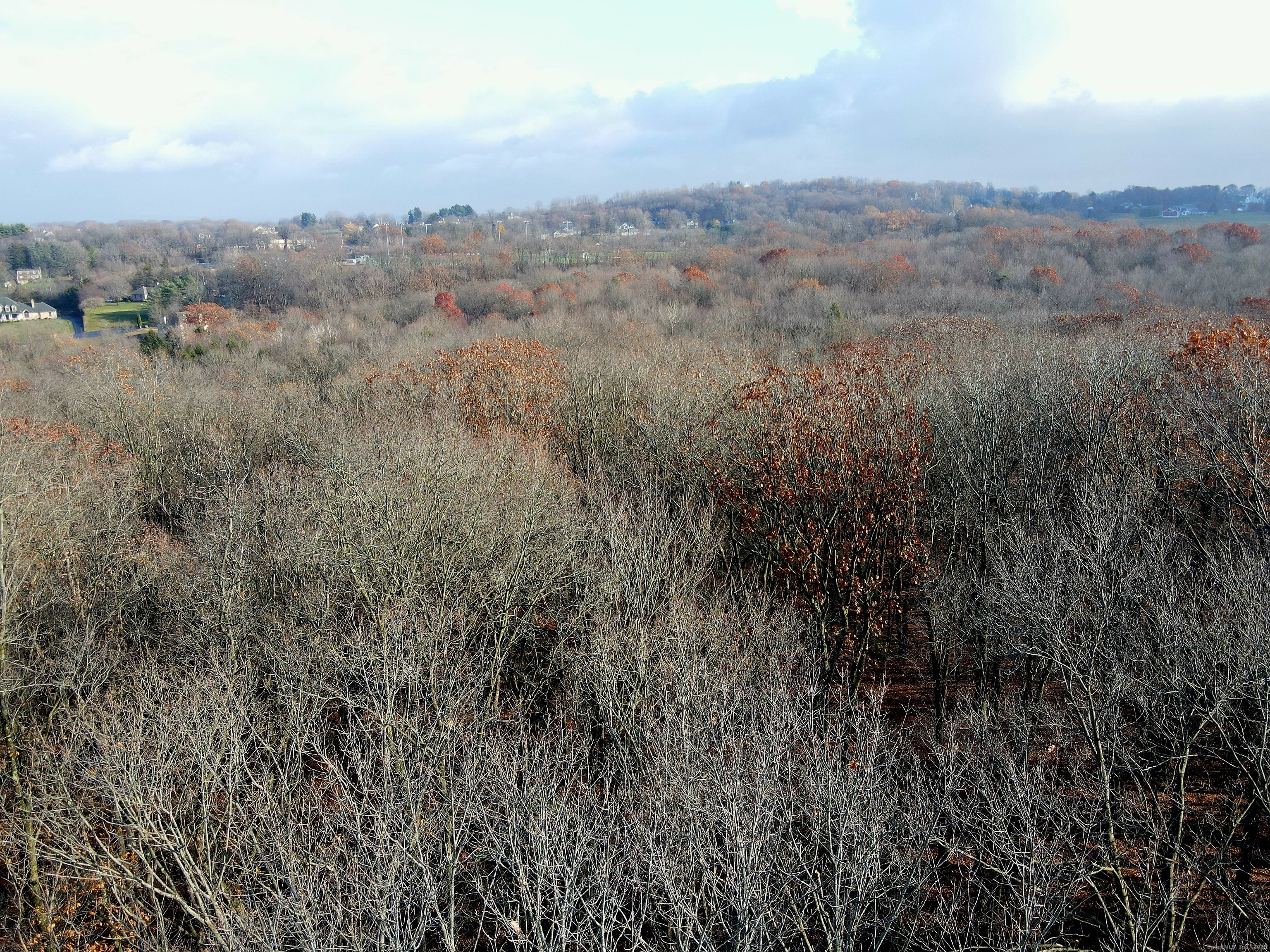 Country Club Rd and Massa Tom Rd Road East