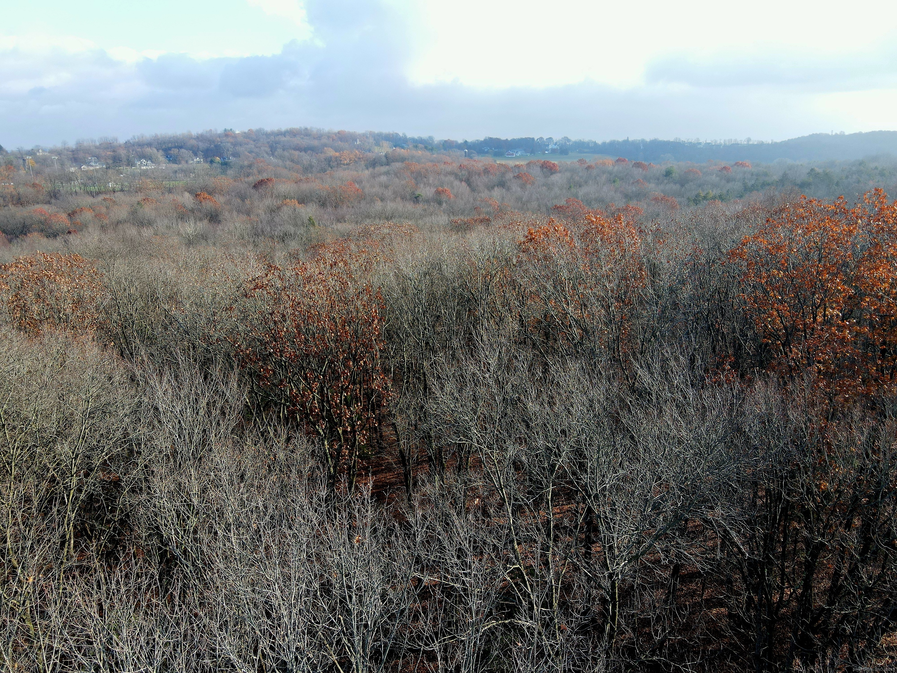 Country Club Rd and Massa Tom Rd Road East