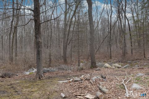 Tiny photo for 113 W High Street, East Hampton, CT 06424 (MLS # 24162485)