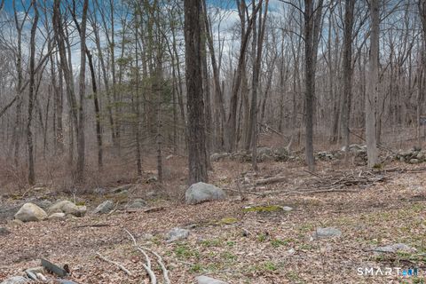 Tiny photo for 113 W High Street, East Hampton, CT 06424 (MLS # 24162485)