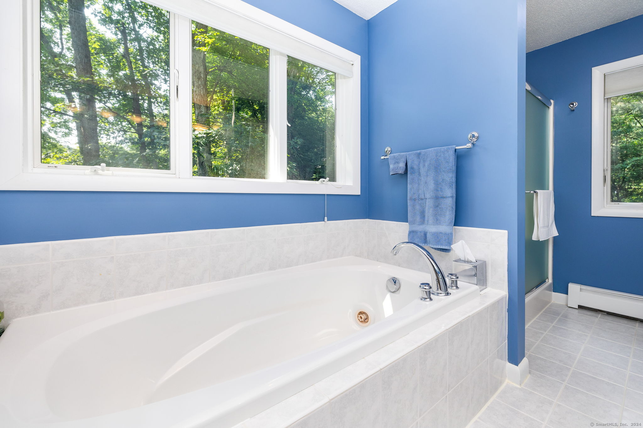 47 Jeremy River Drive, Colchester, Connecticut image 23