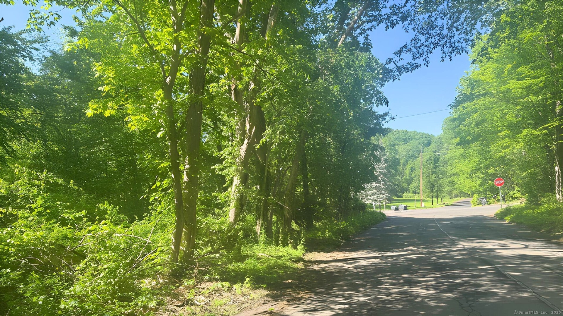 Property for Sale at Bruschayt Drive, Hamden, Connecticut -  - $60,000