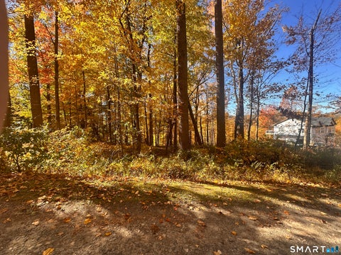 Tiny photo for Juniper Drive, New Milford, CT 06776 (MLS # 24216071)