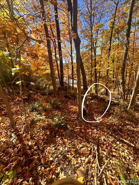 Tiny photo for Juniper Drive, New Milford, CT 06776 (MLS # 24216071)