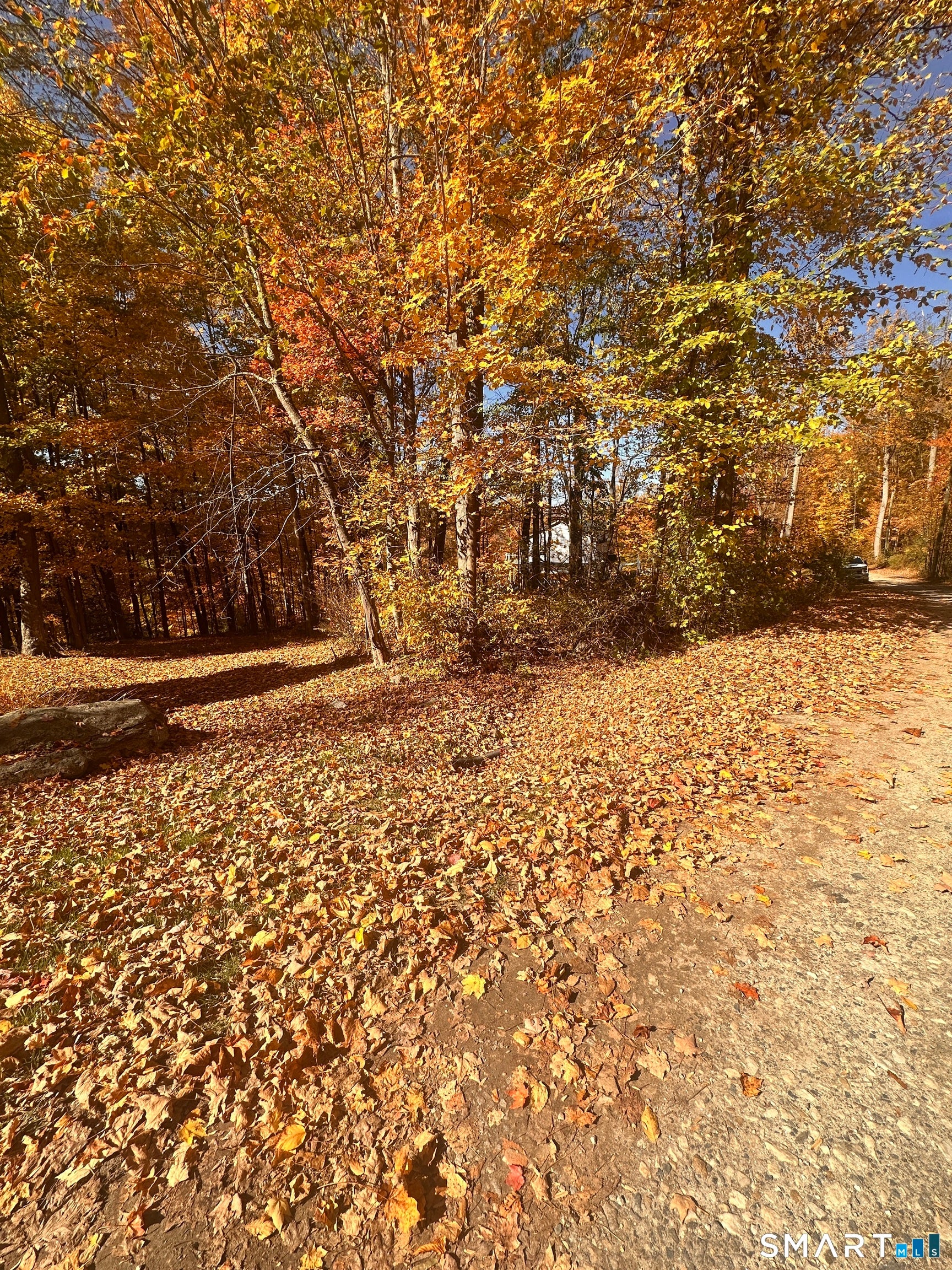 Juniper Drive