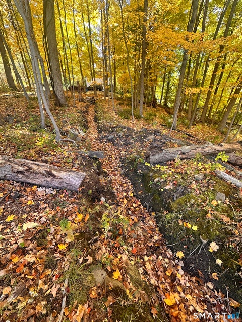 Tiny photo for Juniper Drive, New Milford, CT 06776 (MLS # 24216071)