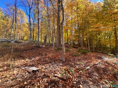 Tiny photo for Juniper Drive, New Milford, CT 06776 (MLS # 24216071)