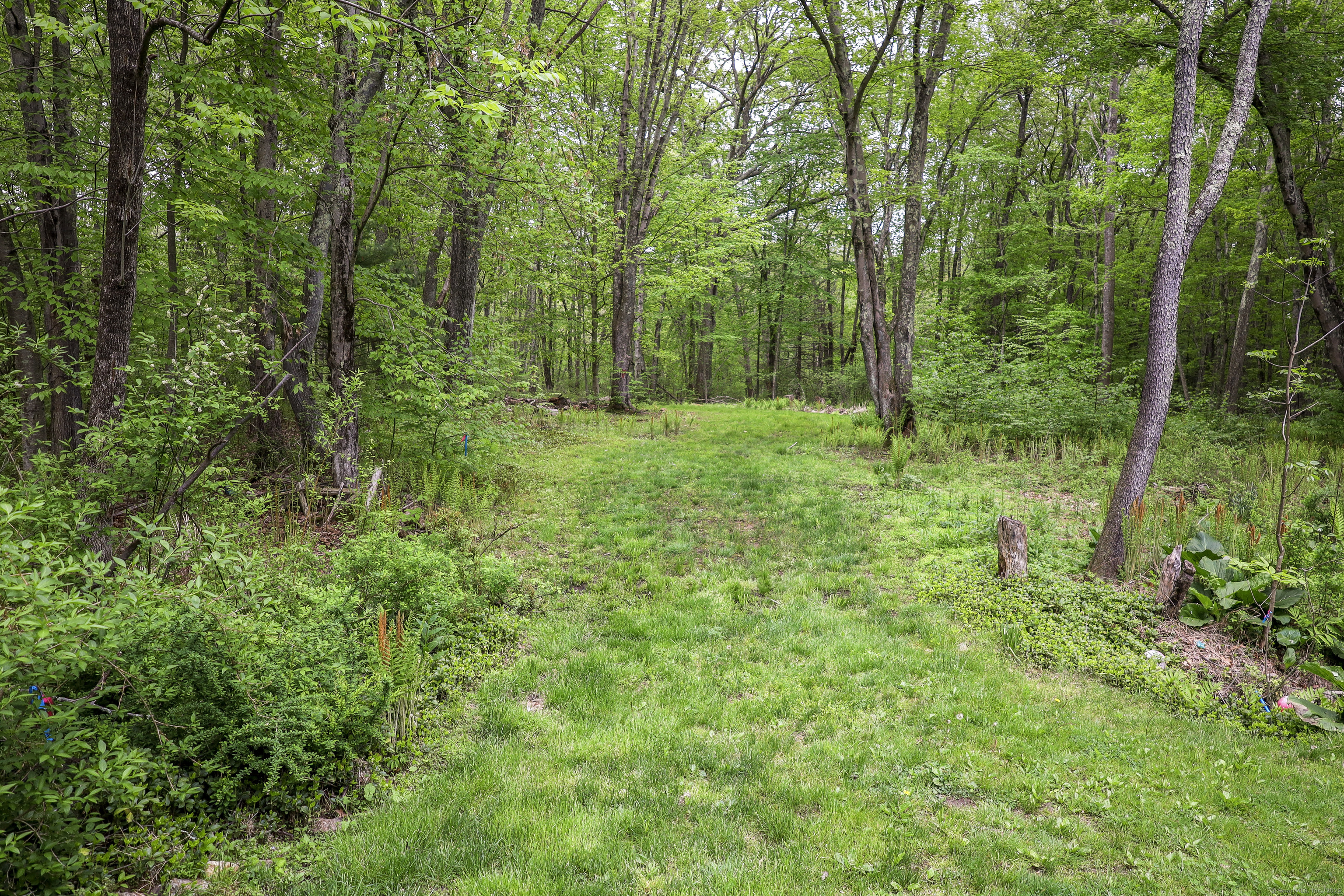 79 Wellers Bridge Road, Roxbury, Connecticut image 24