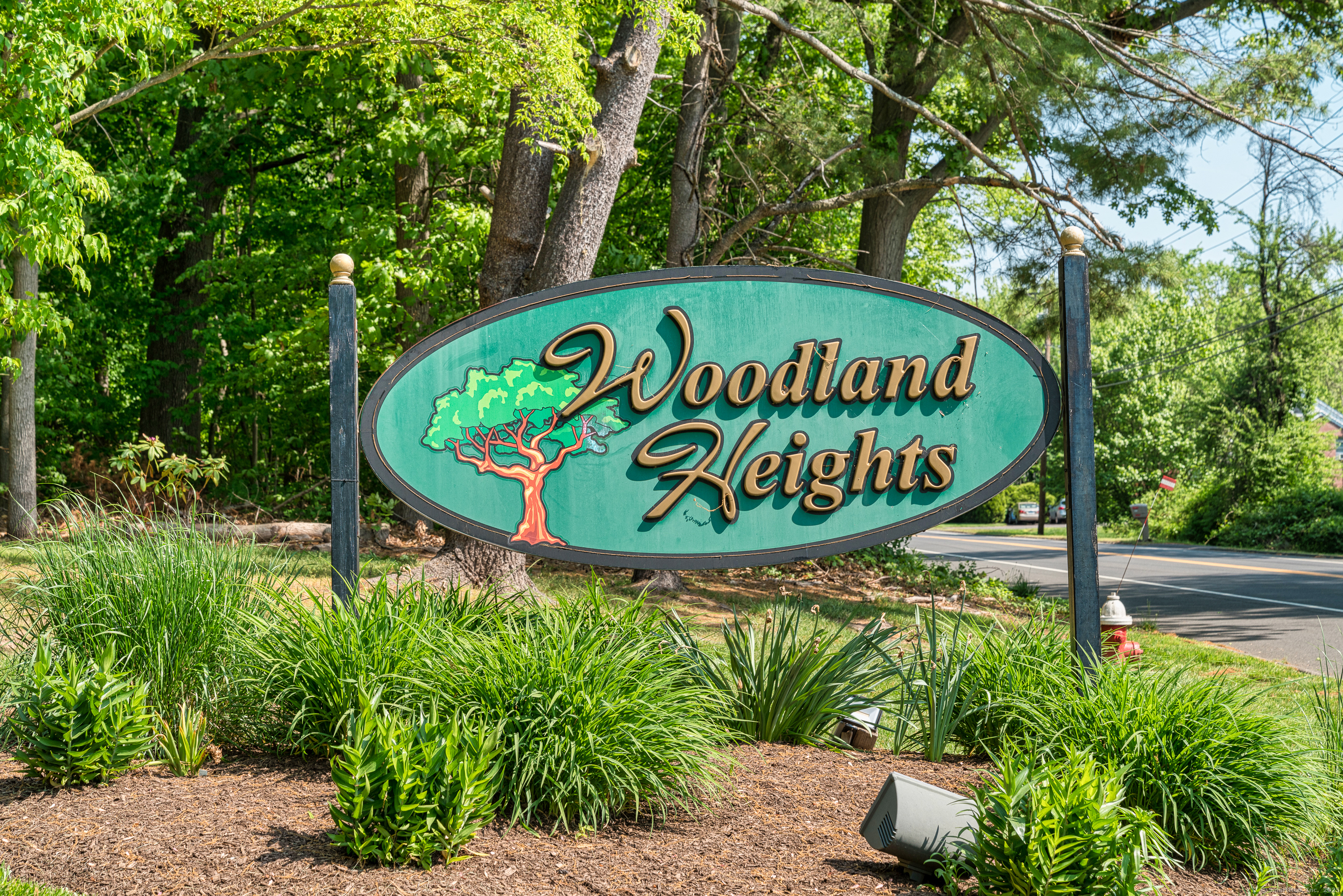 138 Woodland Drive #138, Cromwell, Connecticut image 27