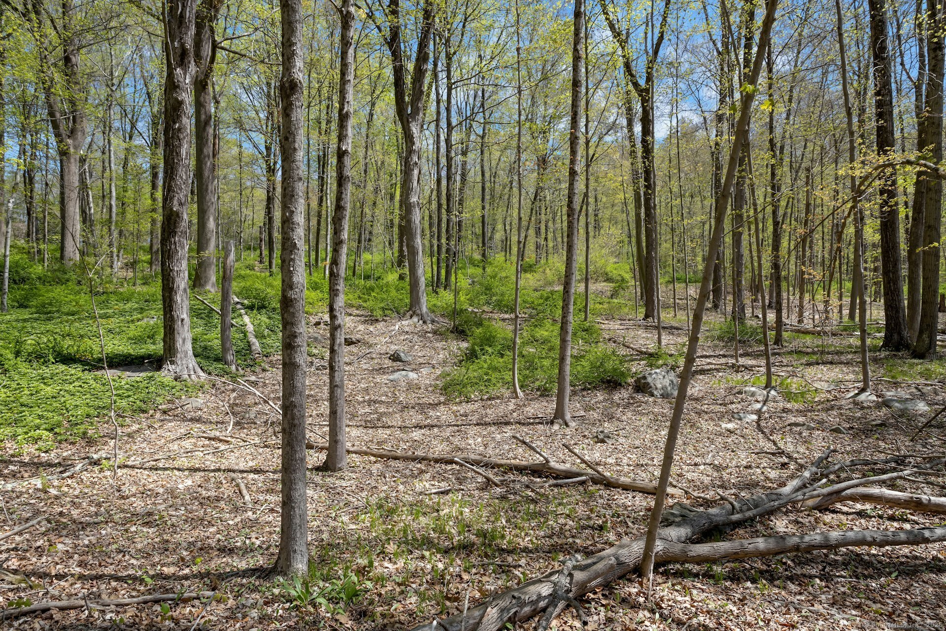 Black Rock Turnpike, Redding, Connecticut image 14