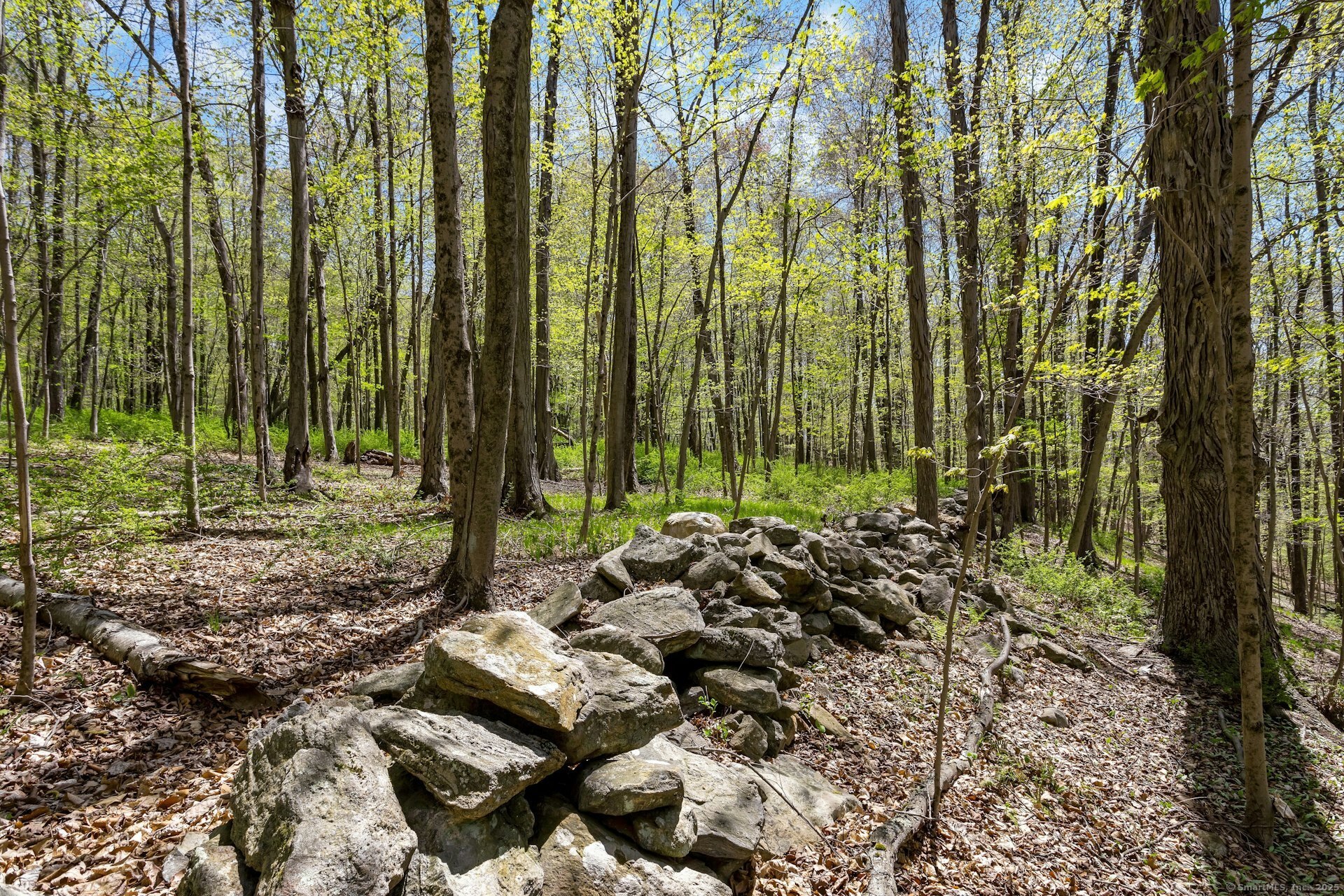 Black Rock Turnpike, Redding, Connecticut image 19