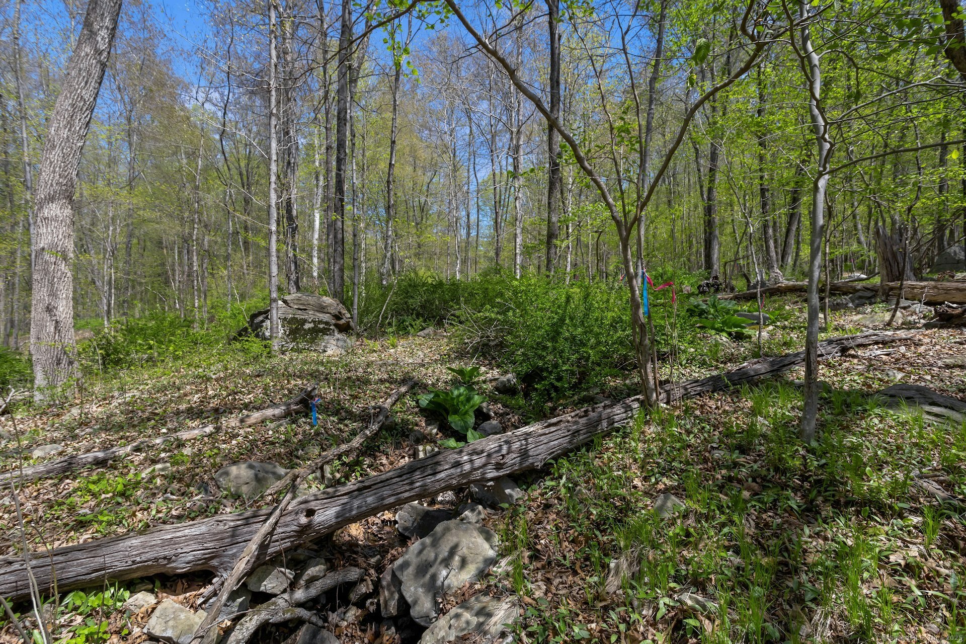 Black Rock Turnpike, Redding, Connecticut image 16