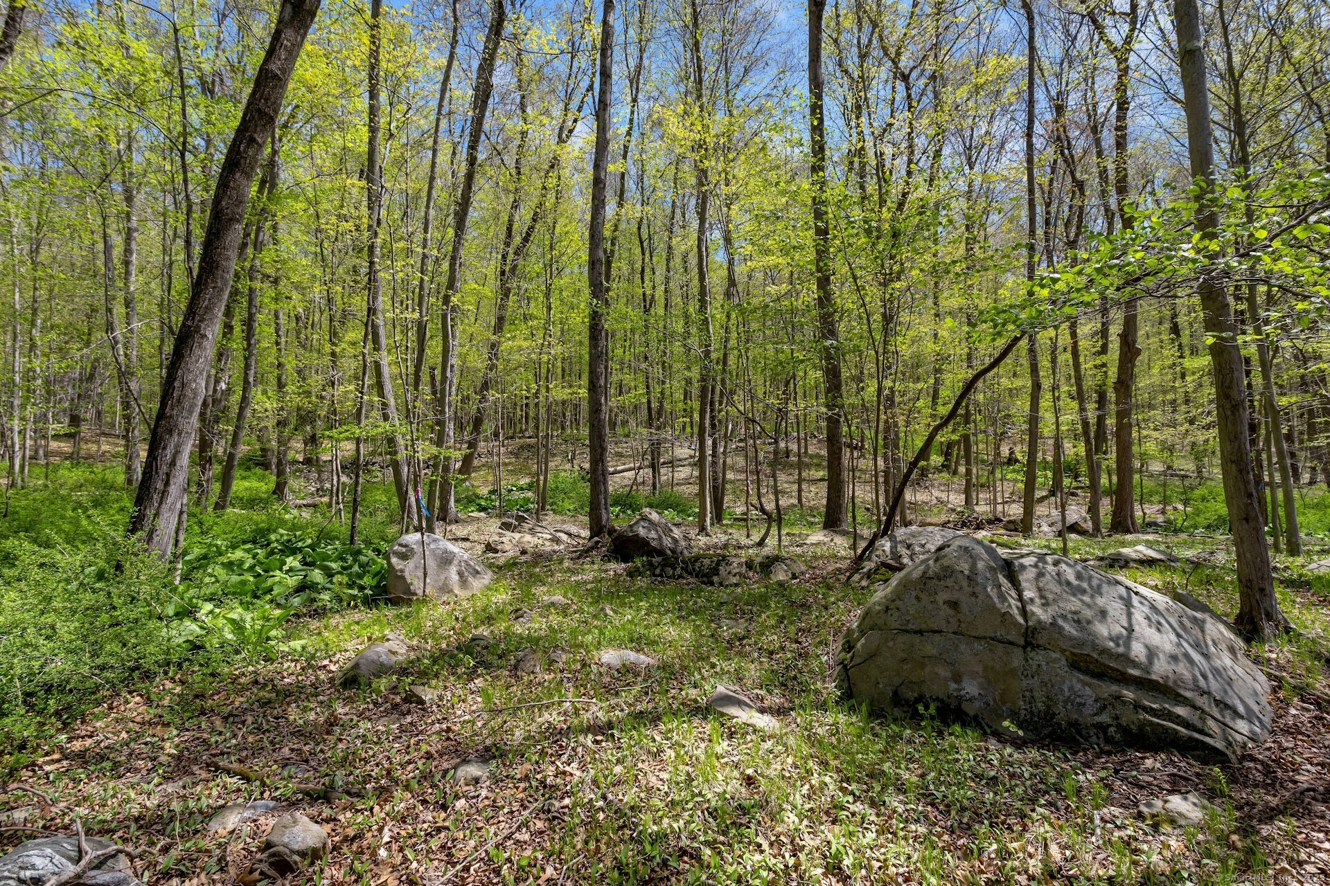 Black Rock Turnpike, Redding, Connecticut image 17