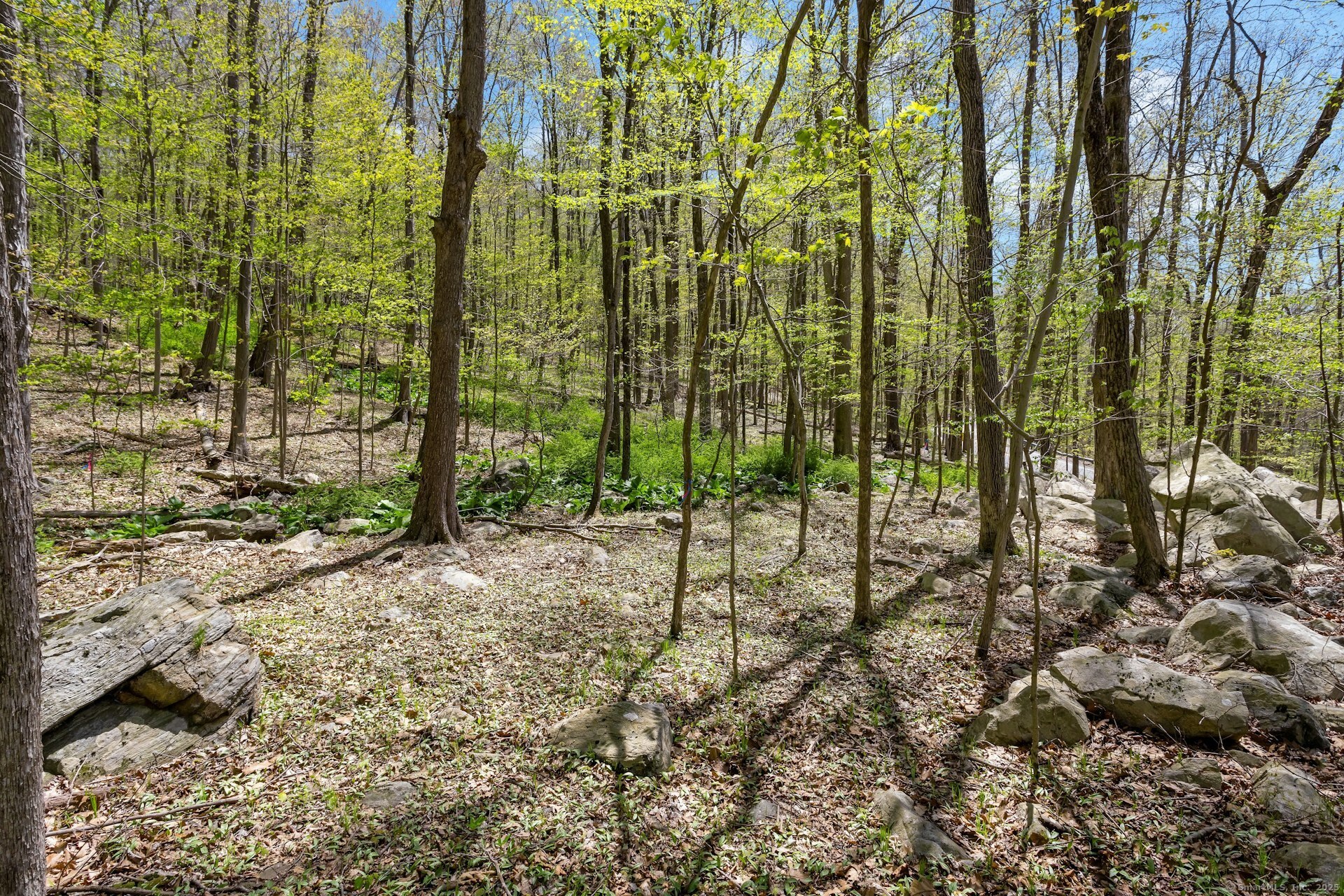 Black Rock Turnpike, Redding, Connecticut image 18