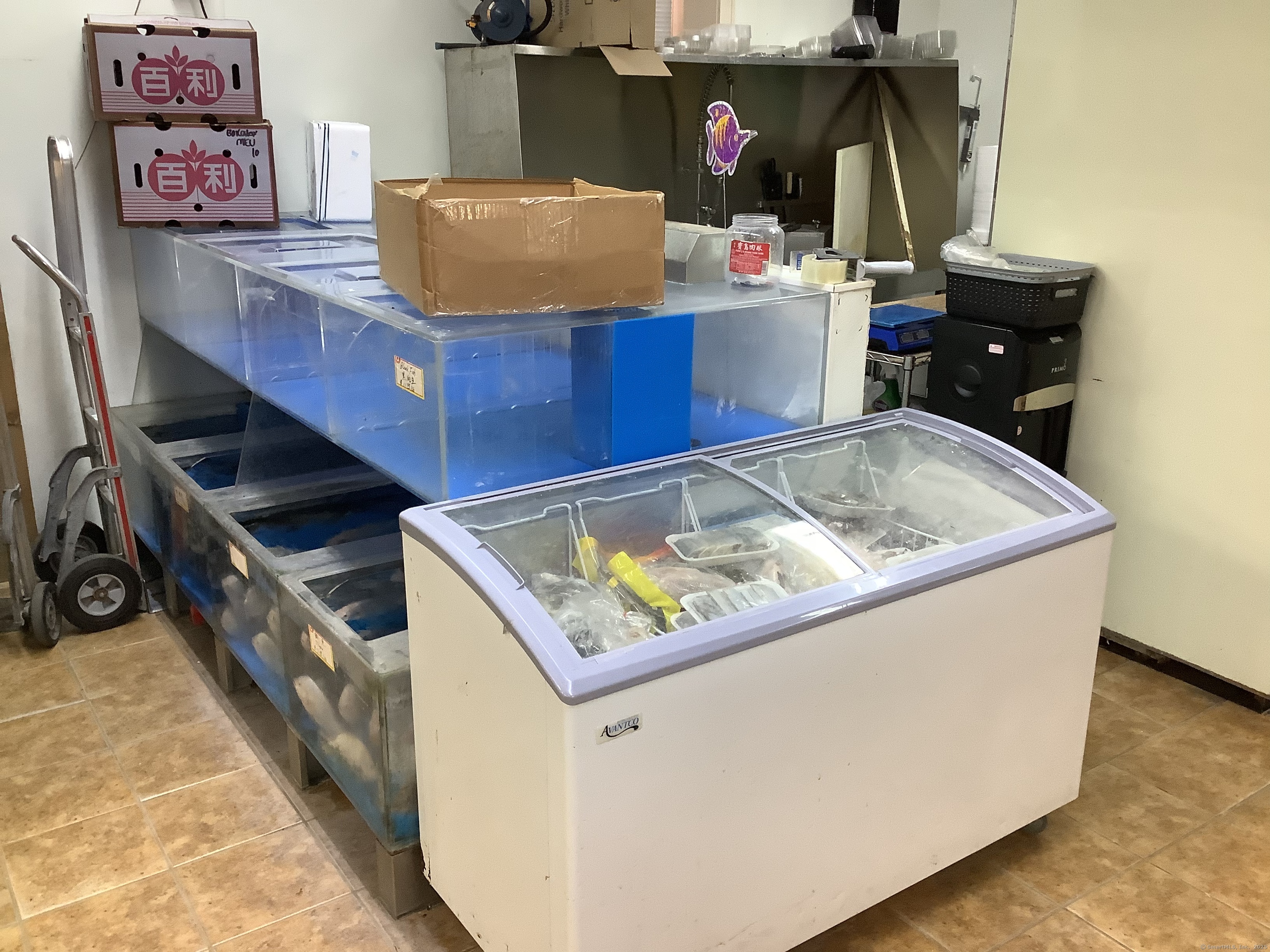 New Haven, Connecticut 06510, United States, ,1 BathroomBathrooms,Commercial,Active,98990