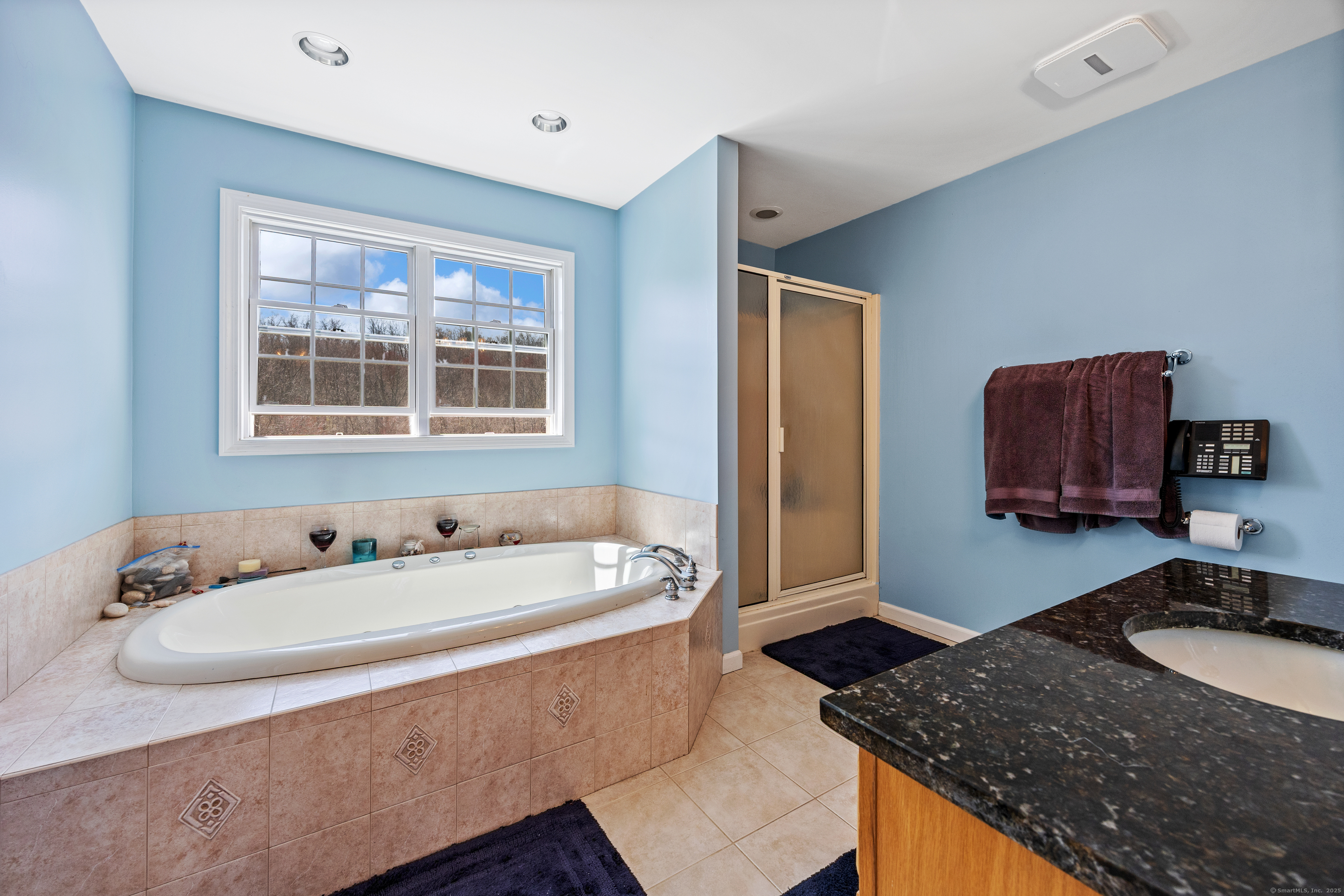44 Sean Meadow Drive, Morris, Connecticut image 18