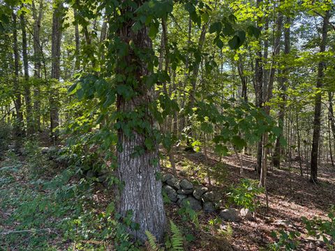 301 Montauk Avenue Stonington CT 06378