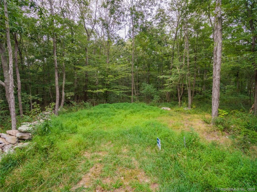 259 Clark Hill Rd Road, East Haddam, Connecticut image 4