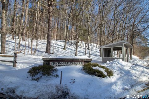 Tiny photo for 104 Wauwinet Trail #104, Guilford, CT 06437 (MLS # 24154117)