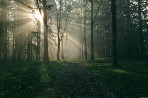 Tiny photo for 138 Amenia Road, Sharon, CT 06069 (MLS # 24119336)