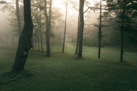 Tiny photo for 138 Amenia Road, Sharon, CT 06069 (MLS # 24119336)