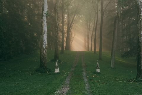 Tiny photo for 138 Amenia Road, Sharon, CT 06069 (MLS # 24119336)