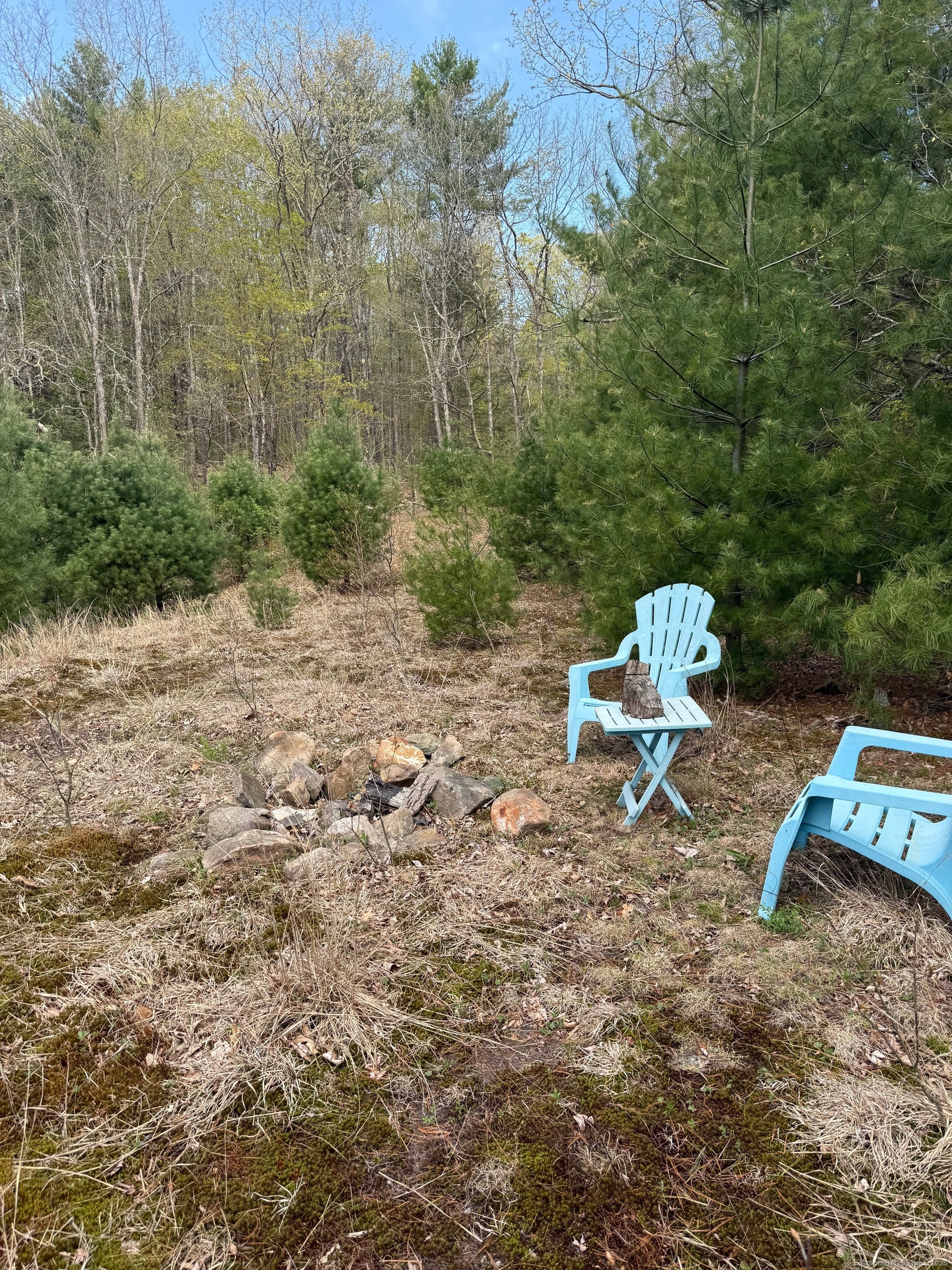 Riverton Road, Colebrook, Connecticut image 1