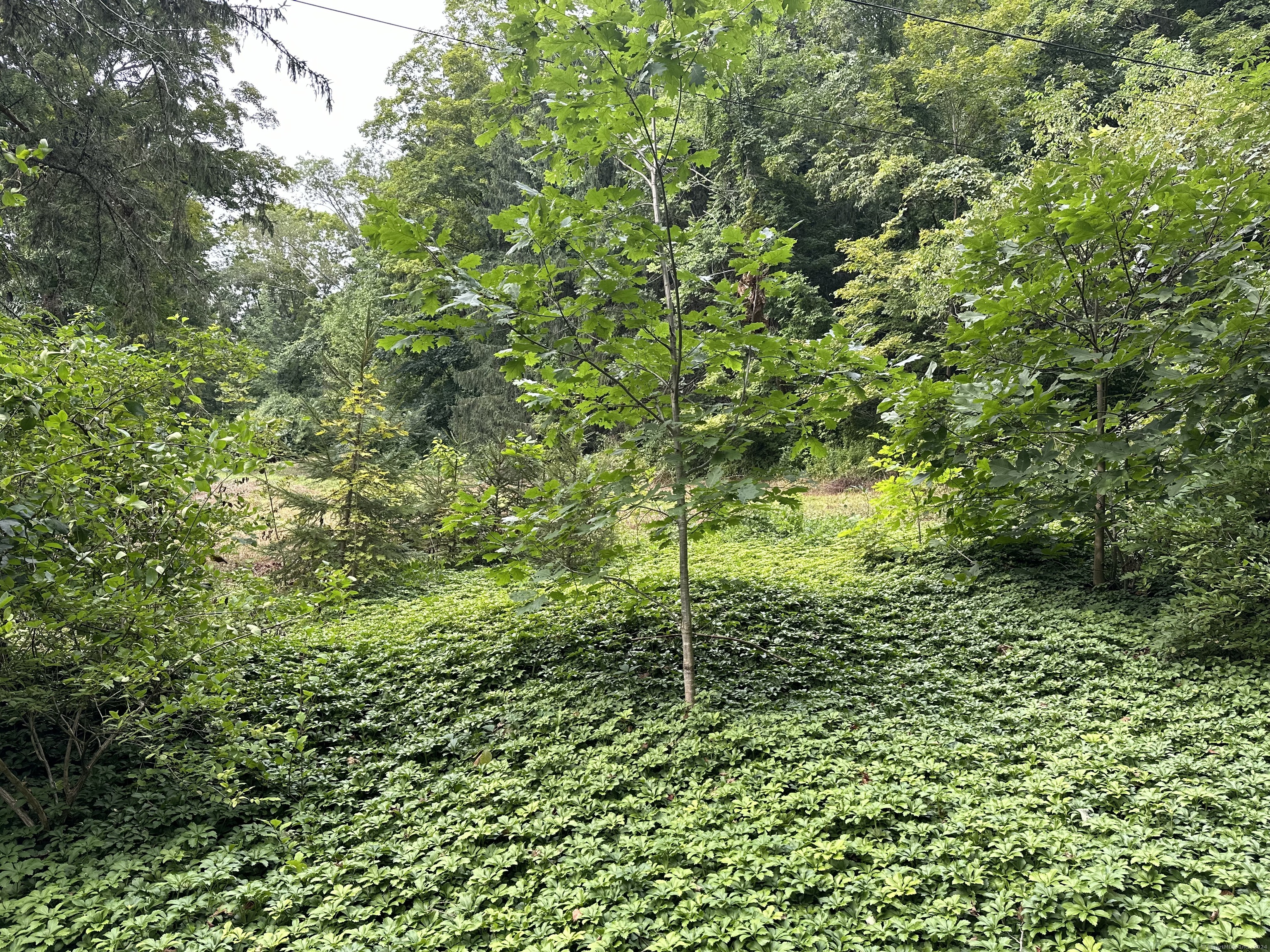 410 Nettleton Hollow Road, Washington, Connecticut image 7