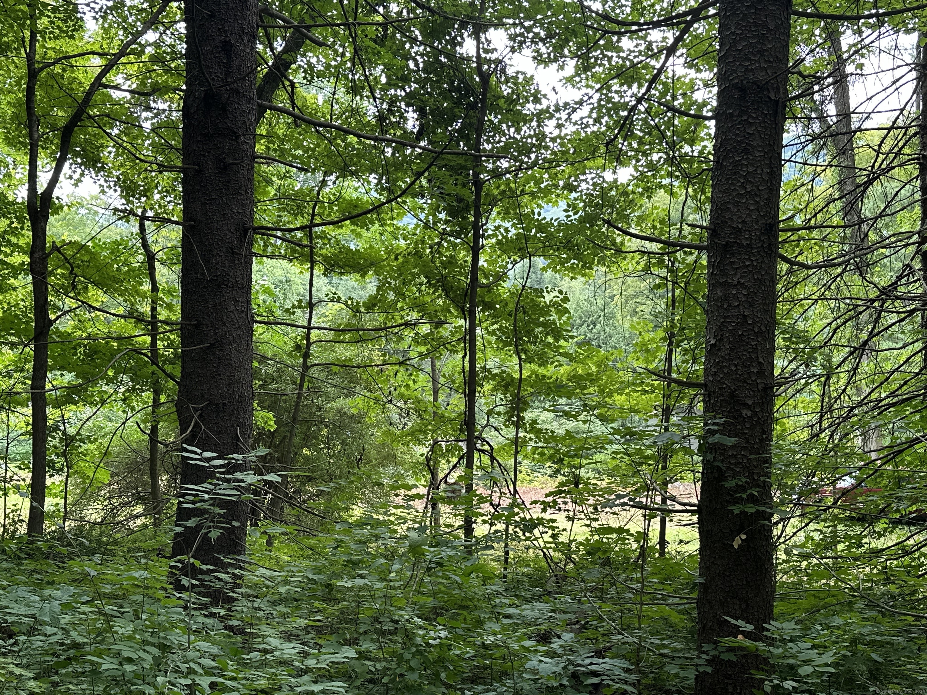 410 Nettleton Hollow Road, Washington, Connecticut image 6